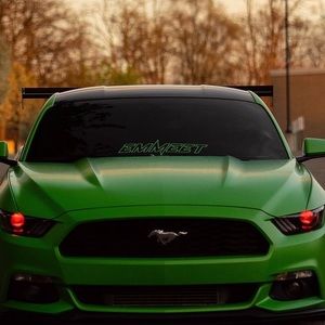 Meet your Posher, Moises